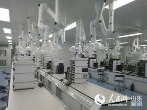 山東羅欣制藥 以創(chuàng)新為翼，打破國外壟斷，引領醫(yī)藥研發(fā)與國際水平同步前行